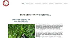 Desktop Screenshot of forourfriends.org